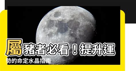 屬豬適合方位|【屬豬坐向】揭秘！屬豬最佳住房坐向，旺運又聚財！